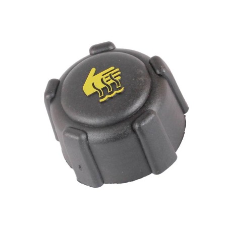 Renault Espace IV 2.0 F4R4 2005- Radiator Cap