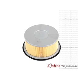 Nissan Champ 1400 LDV A14 8V 80-08 Air Filter