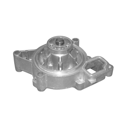 Opel Astra 2.2 (G) Z22SE 03-04 Water Pump