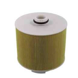 Audi A6 2.4 2.8 FSI 3.0 TFSI 04- BDW BDX CCEA CAJA Air Filter