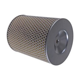 CAM Rhino 2.2i 491QE 07-08 Air Filter