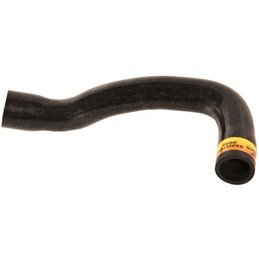 BMW 318I Cabrolet Motorsport I Motorsport II 83-97 1.9S 96-99 Radiator Hose Lower