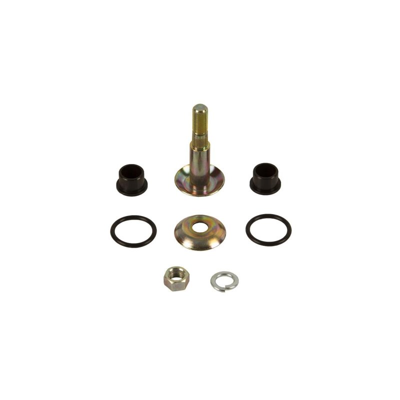 ISUZU 86-95 RELAY 83-89 WRF Pin & Bush Kit For DL5429