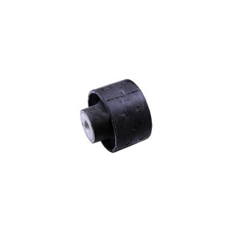 BMW 530d 96-04 Rear Subframe Bush