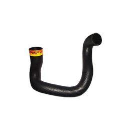 BMW 325I 88-00 Radiator Hose To Block 