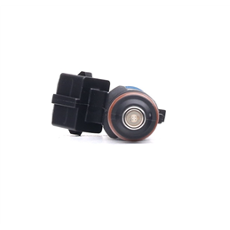 Renault Sandero 1.4 8V 10-13 K7J 710 Fuel Injector