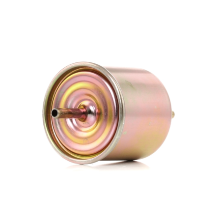 Ford Fiesta 1.6 RSI 00-03 ROCAM 8V 70KW Fuel Filter