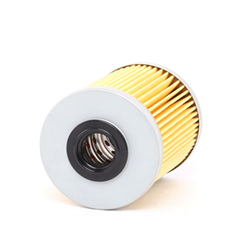 Opel Corsa C LDV 1.6i 8V 03-10 C16SE Fuel Filter