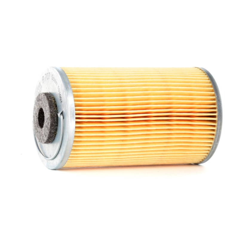 Tata Telcoline 2.0 TDI LDV 08- 483DL 8V 64KW Fuel Filter