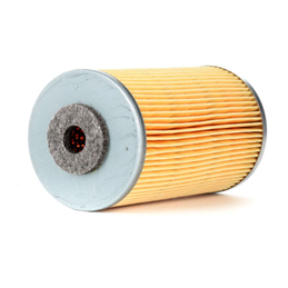 Tata Telcoline 2.0 TDI LDV 08- 483DL 8V 64KW Fuel Filter