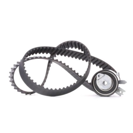 Renault Megane II 1.5 DCI 02-08 K9K 728 729 8V 60KW Timing Belt Kit