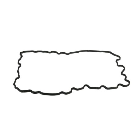 BMW 2 Series F22 220i 13-21 N20B20 Rubber Sump Gasket