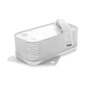 BMW 3 Series F34 320i 13-16 N20B20 Oil Cooler