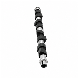 VW Polo 6N Classic Playa 1.4 16 Camshaft