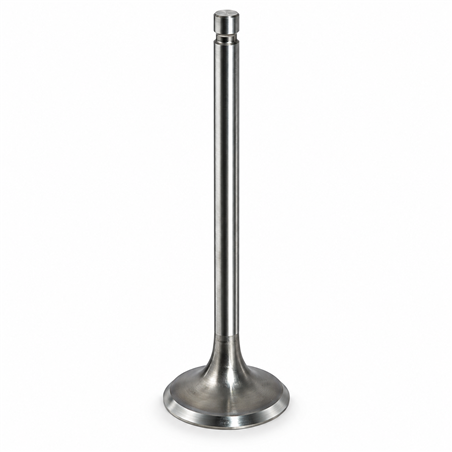 Jaguar F-Pace 306DT Exhaust Valve
