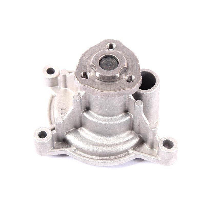 Volkswagen Eos 1.4 CAXA 07 on Water Pump