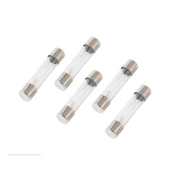 10 Amp Glass Fuse - 5 Pieces Pack