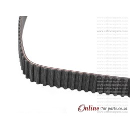 Audi A3 A4 B6 1.9 TDI Timing Belt