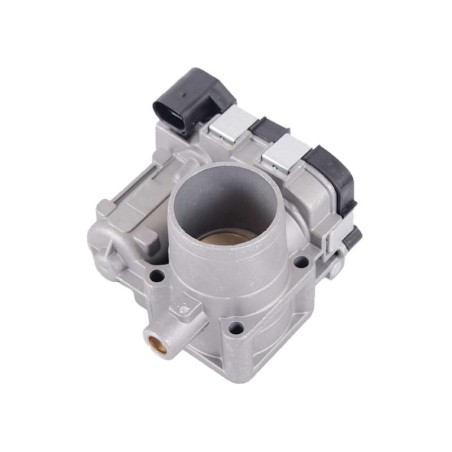 Fiat throttle deals body