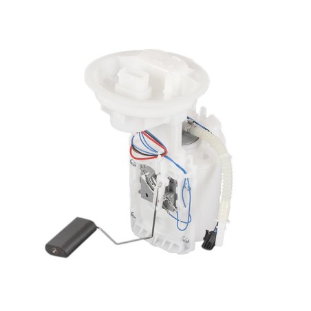 BMW Mini R50 R53 01-06 W10B16A Fuel Pump Module