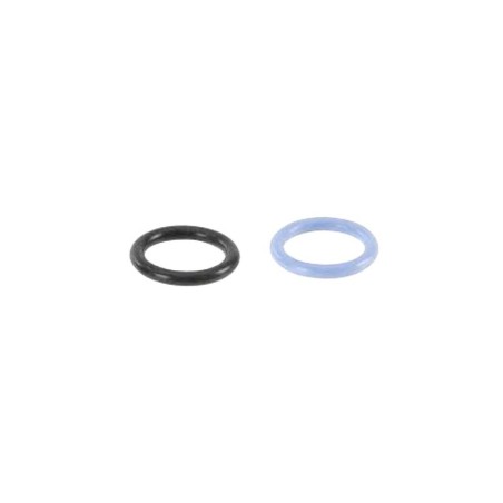 Audi A6 TDi 1997- Fuel Filter Seal Kit