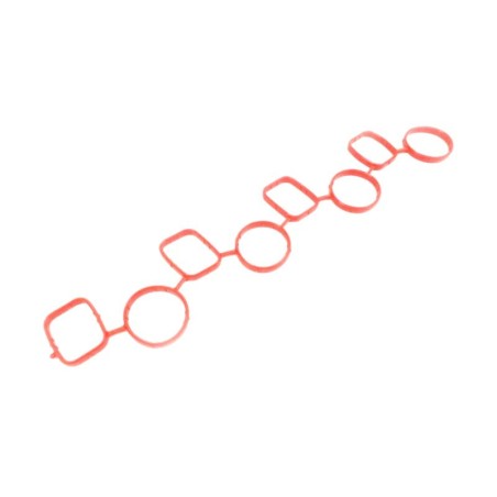 Audi A3 2.0 TDi 2003- Intake Manifold Gasket