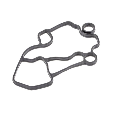 Audi A3 2.0 2003- Oil Filter Housing Gasket