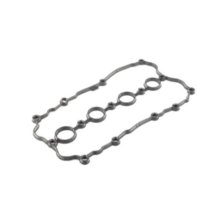 VW Passat VI 2.0 FSI Valve Cover Gasket