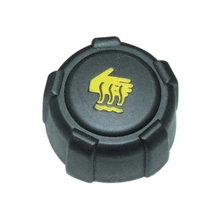 Renault Sandero I II Expansion Tank Cap