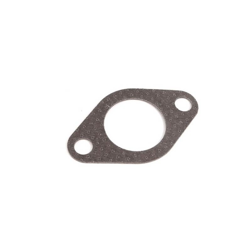 VW Golf IV TDi 99-04 EGR Valve Gasket