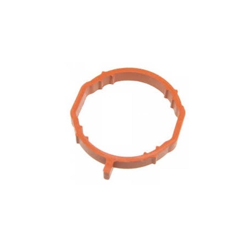 VW Touran 1.6 TDi Intake Manifold Gasket
