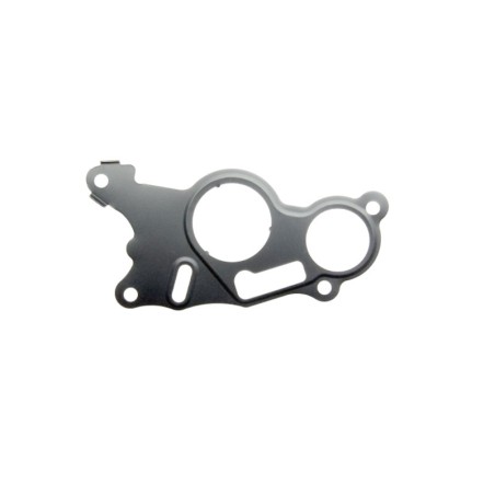 Audi A4 TDi 2000- Vacuum Pump Gasket